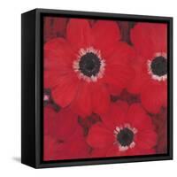 Triple Red Anemone-Ivo-Framed Stretched Canvas