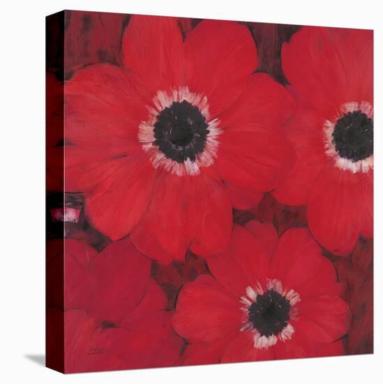 Triple Red Anemone-Ivo-Stretched Canvas