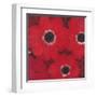 Triple Red Anemone-Ivo-Framed Art Print