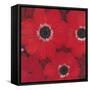 Triple Red Anemone-Ivo-Framed Stretched Canvas