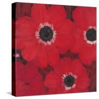 Triple Red Anemone-Ivo-Stretched Canvas