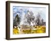 Triple Tree-Chamira Young-Framed Art Print