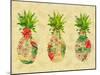 Triple Tropical Pineapple Collage-Julie DeRice-Mounted Art Print