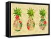 Triple Tropical Pineapple Collage-Julie DeRice-Framed Stretched Canvas