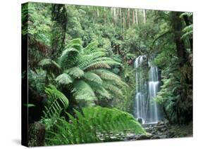 Triplet Falls, Victoria, Australia-Peter Adams-Stretched Canvas
