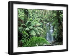 Triplet Falls, Victoria, Australia-Peter Adams-Framed Premium Photographic Print