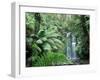 Triplet Falls, Victoria, Australia-Peter Adams-Framed Premium Photographic Print