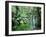 Triplet Falls, Victoria, Australia-Peter Adams-Framed Photographic Print