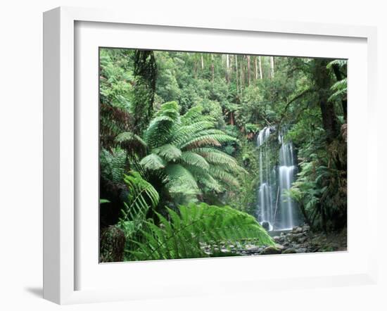 Triplet Falls, Victoria, Australia-Peter Adams-Framed Photographic Print