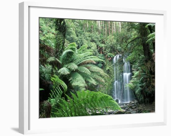 Triplet Falls, Victoria, Australia-Peter Adams-Framed Photographic Print