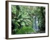 Triplet Falls, Victoria, Australia-Peter Adams-Framed Photographic Print