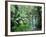 Triplet Falls, Victoria, Australia-Peter Adams-Framed Photographic Print