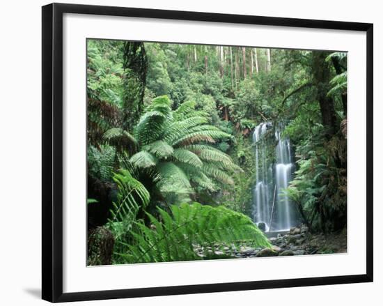 Triplet Falls, Victoria, Australia-Peter Adams-Framed Photographic Print