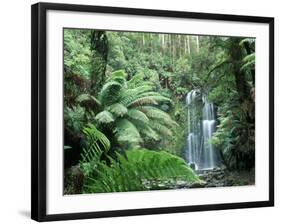 Triplet Falls, Victoria, Australia-Peter Adams-Framed Photographic Print