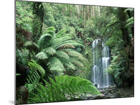 Triplet Falls, Victoria, Australia-Peter Adams-Mounted Photographic Print