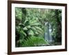 Triplet Falls, Victoria, Australia-Peter Adams-Framed Photographic Print
