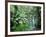 Triplet Falls, Victoria, Australia-Peter Adams-Framed Photographic Print