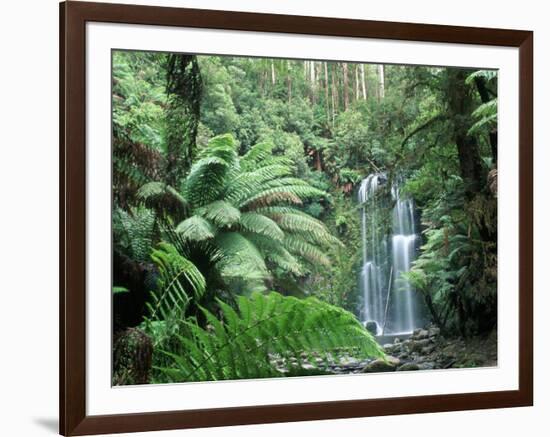 Triplet Falls, Victoria, Australia-Peter Adams-Framed Photographic Print