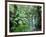 Triplet Falls, Victoria, Australia-Peter Adams-Framed Photographic Print