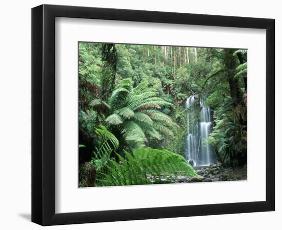 Triplet Falls, Victoria, Australia-Peter Adams-Framed Photographic Print