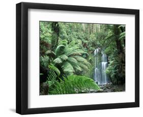 Triplet Falls, Victoria, Australia-Peter Adams-Framed Photographic Print