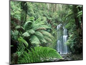 Triplet Falls, Victoria, Australia-Peter Adams-Mounted Photographic Print