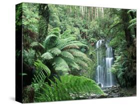 Triplet Falls, Victoria, Australia-Peter Adams-Stretched Canvas