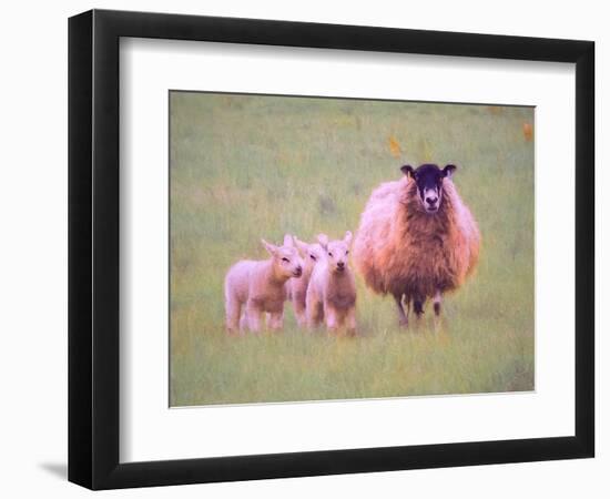 Triplets, 2018,-Helen White-Framed Giclee Print