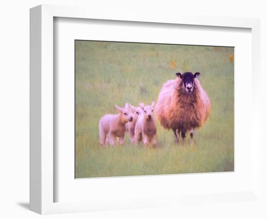 Triplets, 2018,-Helen White-Framed Giclee Print