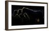 Triplets-Michel Romaggi-Framed Giclee Print