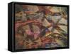 Trippy Vines 1-Smith Haynes-Framed Stretched Canvas