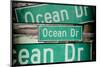 Triptych Collection - Ocean Drive Sign - Miami Beach - Florida - USA-Philippe Hugonnard-Mounted Photographic Print