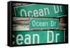Triptych Collection - Ocean Drive Sign - Miami Beach - Florida - USA-Philippe Hugonnard-Framed Stretched Canvas