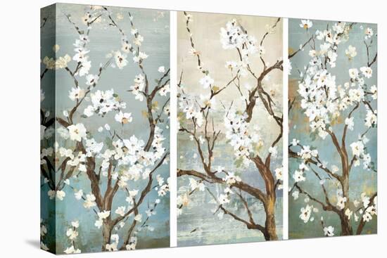 Triptych in Bloom-Asia Jensen-Stretched Canvas