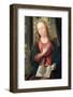 Triptych of The Annunciation. Jean Bellegambe, Hermitage Museum-Godong-Framed Photographic Print