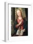 Triptych of The Annunciation. Jean Bellegambe, Hermitage Museum-Godong-Framed Photographic Print