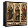 Triptych with St. Anthony Abbot, St. Roch, and St. Catherine of Alexandria-Sandro Botticelli-Framed Stretched Canvas