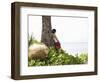 Trisara Resort, Phuket, Thailand, Southeast Asia-Angelo Cavalli-Framed Photographic Print