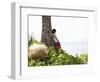 Trisara Resort, Phuket, Thailand, Southeast Asia-Angelo Cavalli-Framed Photographic Print