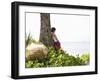 Trisara Resort, Phuket, Thailand, Southeast Asia-Angelo Cavalli-Framed Photographic Print