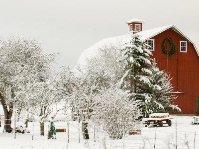 Red Barn in Fresh Snow, Whidbey Island, Washington, USA