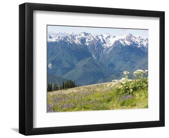 Premium Photographic Print, , large