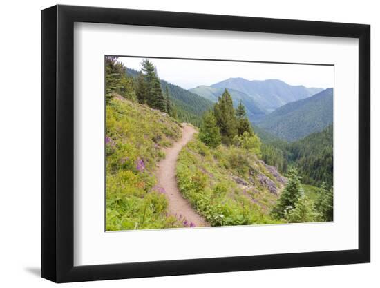 Premium Photographic Print, , large