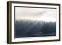 Chelsea Forest Gray