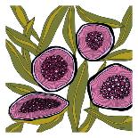 Pilea-Trish Sierer-Art Print