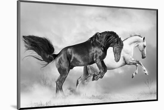 Tristan and Isolde-null-Mounted Art Print