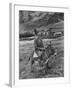 Tristan Da Cunha Island Chef Willie Repetto Riding Donkey-Carl Mydans-Framed Photographic Print