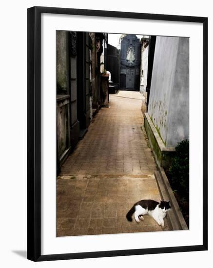 Tristary-Craig Satterlee-Framed Photographic Print