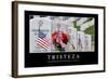 Tristeza. Cita Inspiradora Y Póster Motivacional-null-Framed Photographic Print