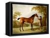 Tristram Shandy, a Bay Racehorse Held by a Groom in an Extensive Landscape, C.1760-George Stubbs-Framed Stretched Canvas